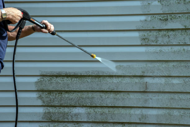 Solar Panel Cleaning in Newellton, LA